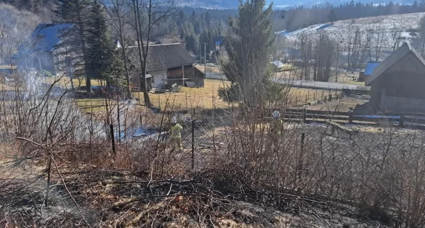 Pożar suchych traw w Pewli Wielkiej