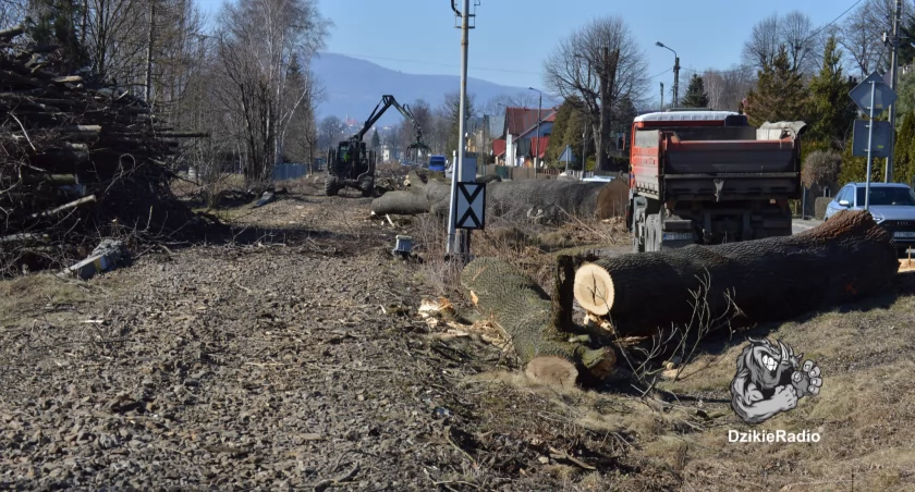 Przebudowa linii kolejowej a przyszłość zieleni miejskiej