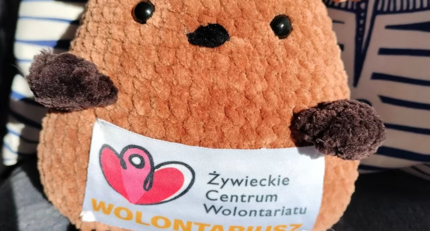 Żywieckie Centrum Wolontariatu – serce społecznej aktywności w regionie! Targi Pracy i Edukacji – szansa na spotkanie z wolontariatem.