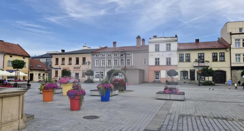 Żywiec i problem betonozy: czy miasto traci swój zielony charakter?