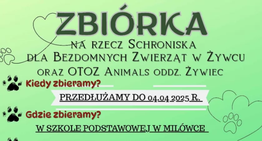 ZAPRASZAMY DO UDZIAŁU W ZBIÓRCE! Na rzecz schroniska Dla Bezdomnych Zwierząt w Żywcu.