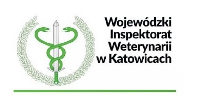 Nowe ognisko pryszczycy na Słowacji- zakaz importu zwierząt i produktów mogących przenosić wirusa 