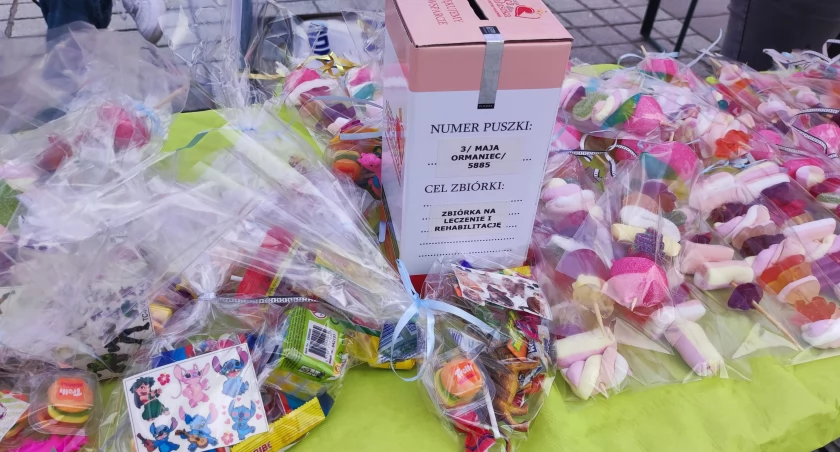 Akcja Charytatywna dla Mai Ormaniec na Żywieckim Rynku! Podsumowanie! 
