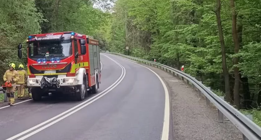 Interwencja strażaków z OSP Oczków na Drodze Wojewódzkiej nr 948