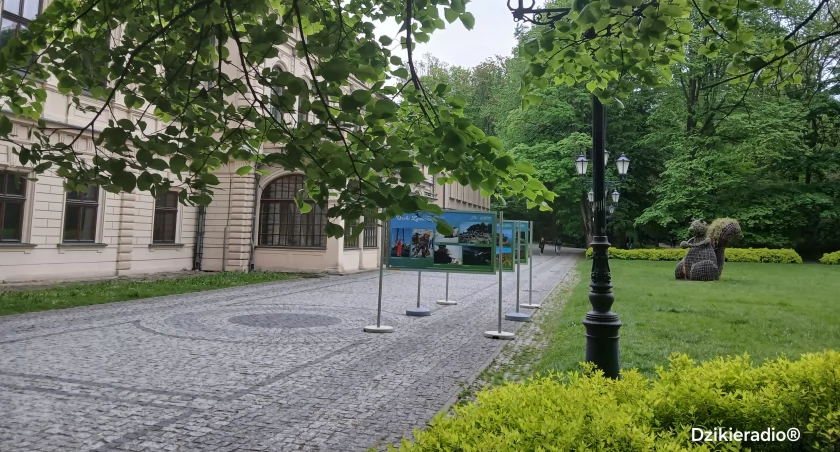 „Uroki Żywieczczyzny” – Wystawa Plenerowa w Żywieckim Parku Habsburgów.