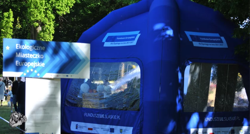 Ekologiczne Miasteczko Europejskie w Żywcu – edukacja, integracja i zabawa dla całych rodzin! 