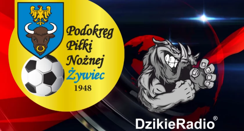 Turniej Piłki Nożnej z Okazji Dnia Dziecka – Orlik Sporysz Żywiec
