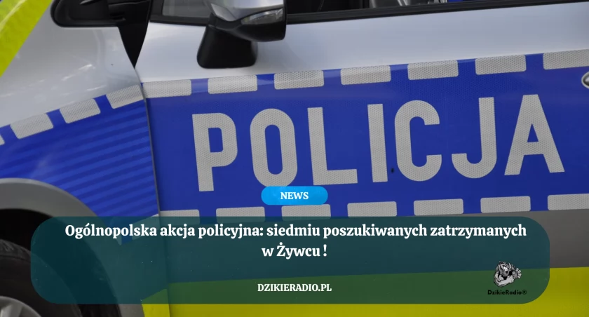 Ogólnopolska akcja policyjna: siedmiu poszukiwanych zatrzymanych w Żywcu
