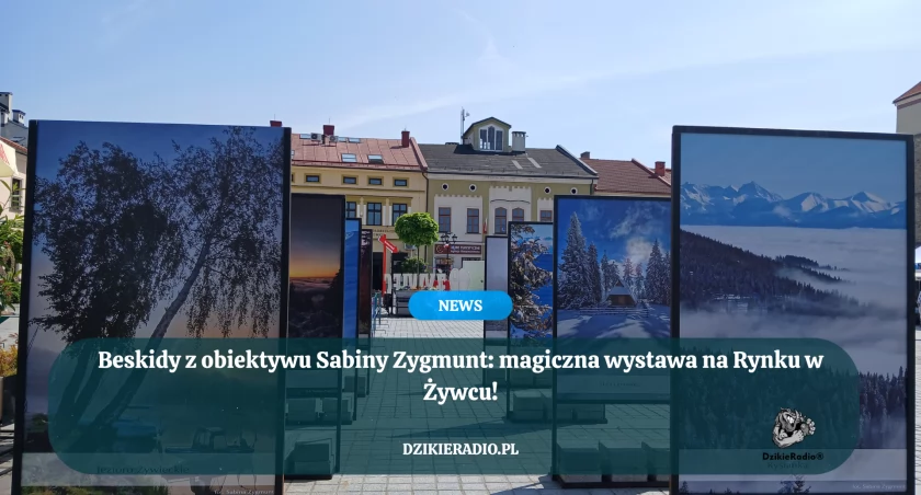 Dni Żywca 2025 – magia Beskidów uchwycona w kadrze! 