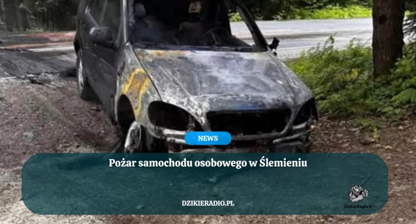 Pożar samochodu osobowego w Ślemieniu