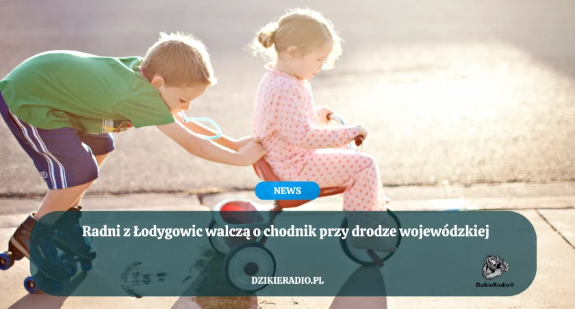 Bezpieczeństwo pieszych w Łodygowicach pod znakiem zapytania - radni walczą o chodnik przy drodze wojewódzkiej
