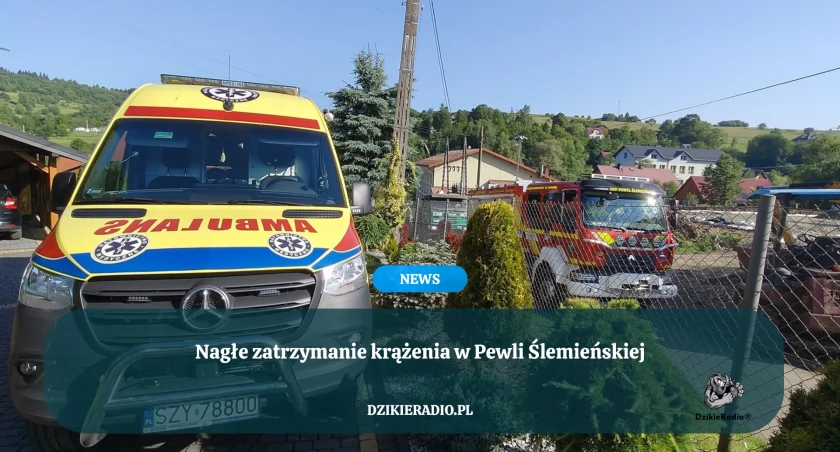 Nagłe zatrzymanie krążenia w Pewli Ślemieńskiej – Strażacy i Ratownicy walczyli o życie mężczyzny