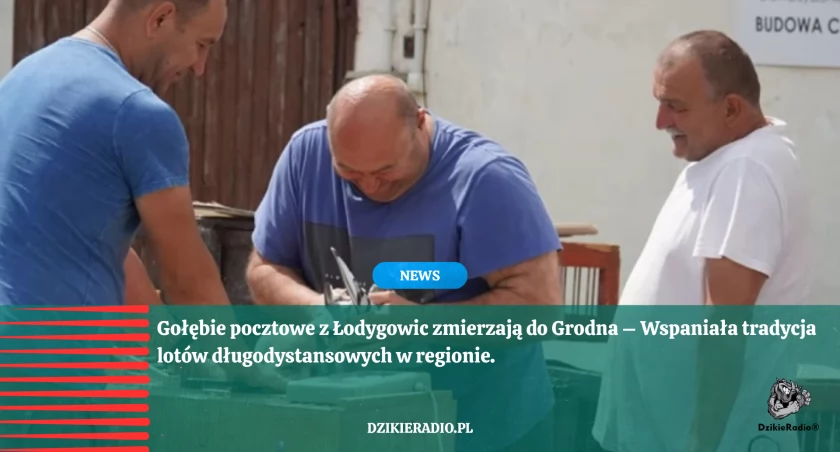 Wielki sprawdzian dla skrzydlatych atletów – hodowcy z Łodygowic wysłali gołębie na lot do Grodna