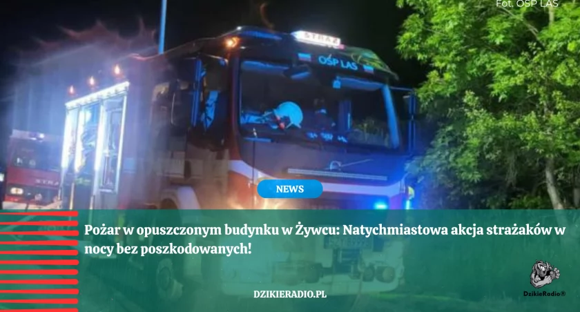 Pożar pustostanu przy ulicy Zacisze: nocna interwencja strażaków z Żywca