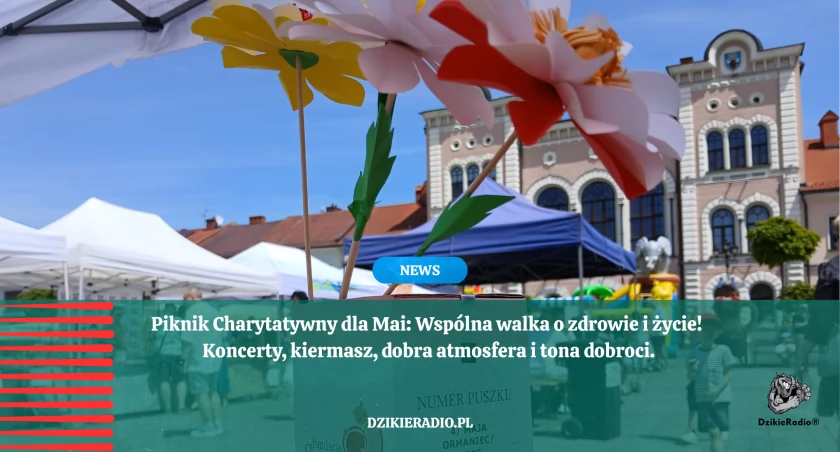 Piknik Charytatywny dla Mai Oramieniec – Żywiec pokazał serce! 