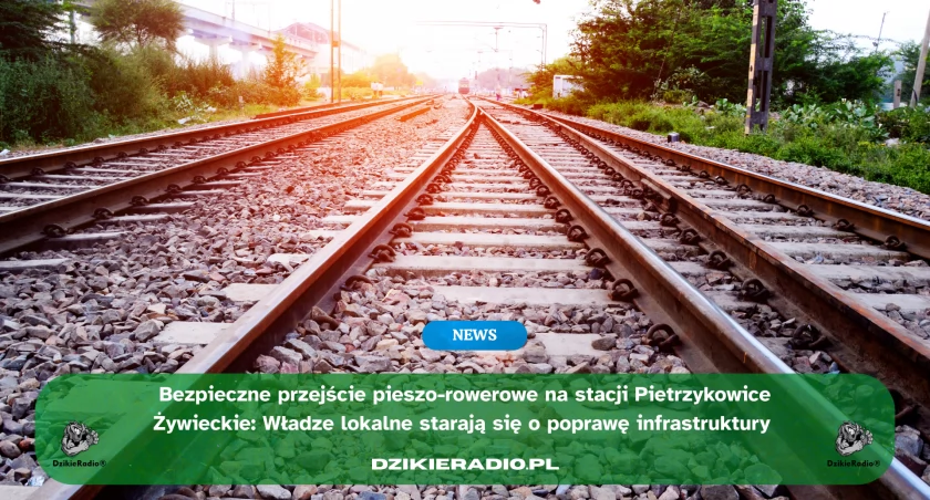 Planowane przejście pieszo-rowerowe w Pietrzykowicach. Trwają rozmowy z PKP
