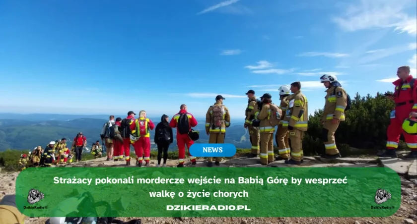 Strażacy zdobyli Babią Górę w pełnym umundurowaniu. Promują rejestrację dawców szpiku