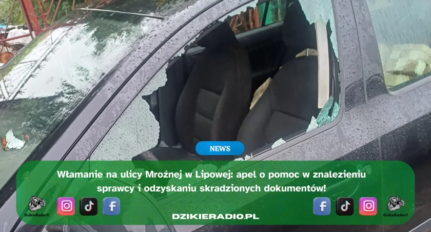 Włamanie do samochodu w Lipowej – apel o pomoc