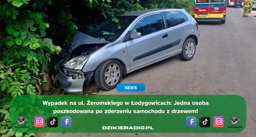 Wypadek w Łodygowicach: samochód osobowy uderzył w drzewo – jedna osoba ranna