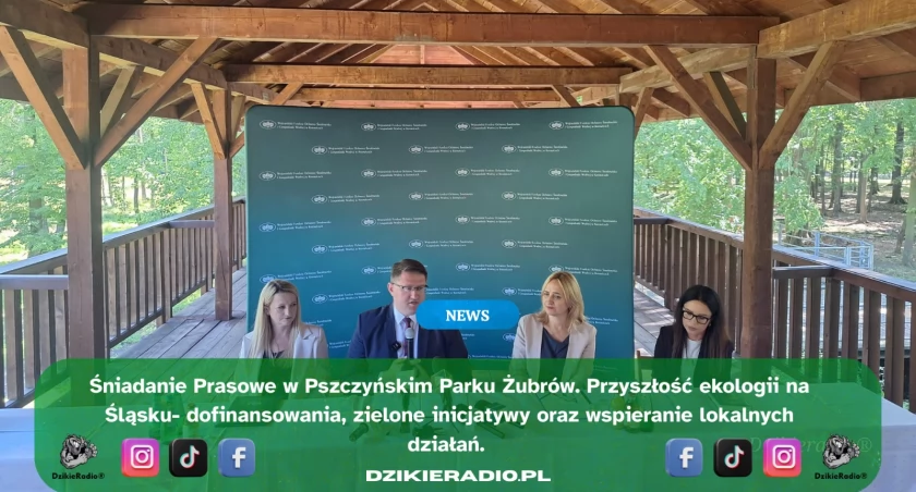 Program Czyste Powietrze: dostępne dofinansowanie. Nowa odsłona Programu 2025r. Sprawdź, czy się kwalifikujesz!