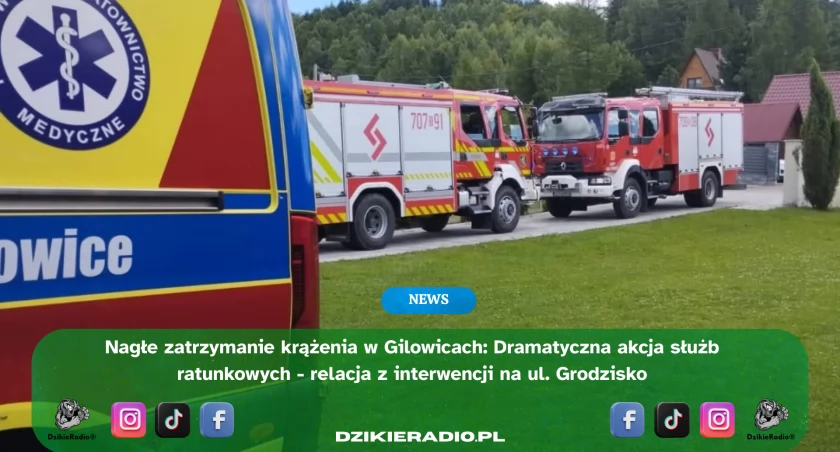 Nagłe zatrzymanie krążenia w Gilowicach. Mimo szybkiej interwencji służb nie udało się uratować kobiety