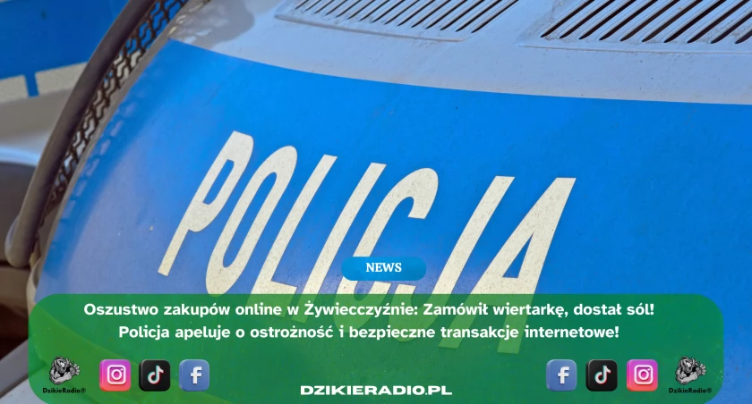 Sól zamiast wiertarki – internetowa transakcja zakończona oszustwem