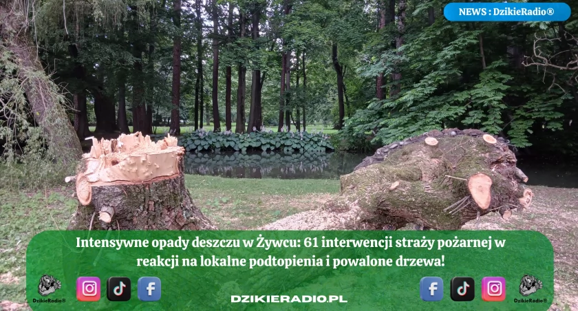 Intensywne opady deszczu nad powiatem żywieckim – strażacy interweniowali 61 razy!