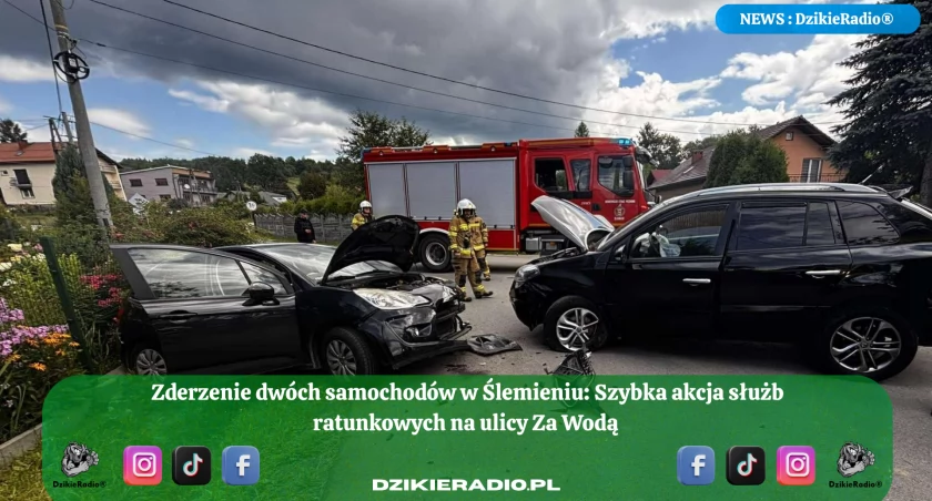 Wypadek drogowy w Ślemieniu – interweniowały służby ratunkowe