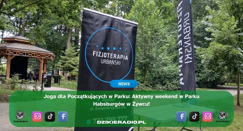 Joga w Parku Zamkowym w Żywcu – relaks, ruch i harmonia z naturą! 