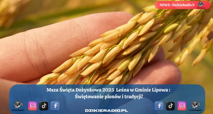 Święto Plonów – Dożynki w Leśnej i Siennej w Gminie Lipowa!