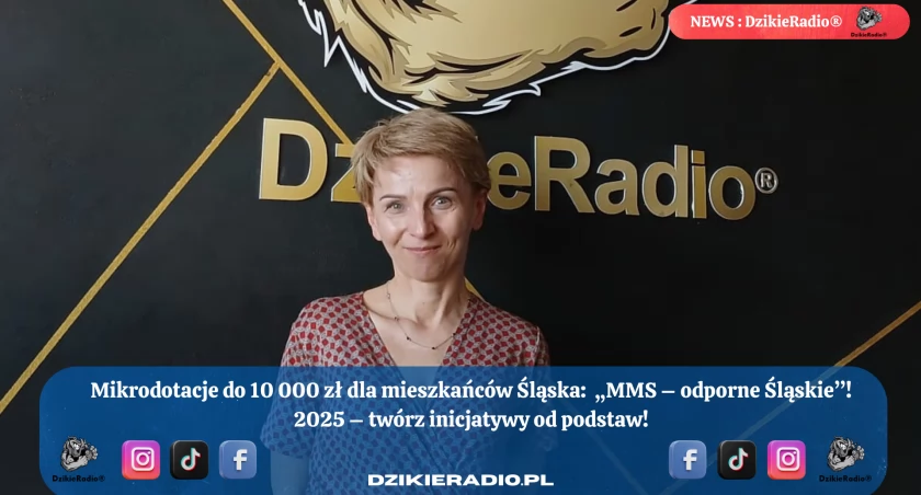 Rozpoczął się nabór wniosków w ramach projektu „MMS – odporne Śląskie”!