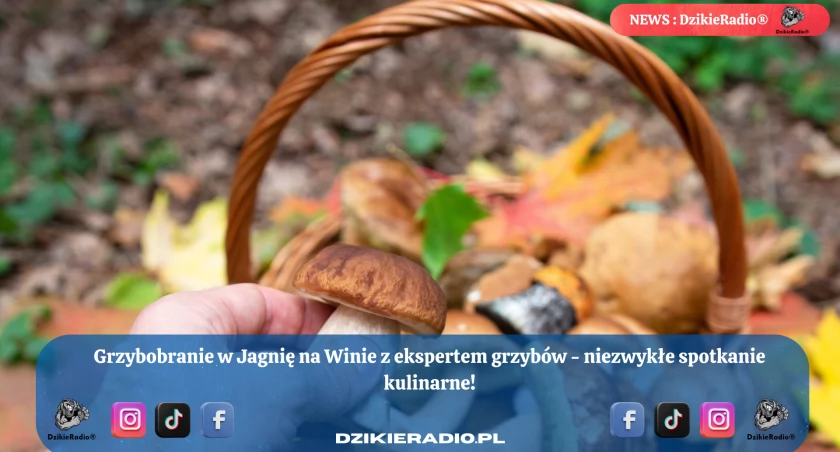Grzybobranie z ekspertem: niezwykłe wydarzenie kulinarne w Jagnię na Winie w Gminie Czernichów!