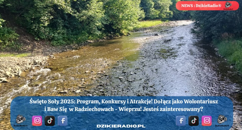 Święto Soły 2025: Zgłoś się jako wolontariusz i dołącz do niezwykłego świętowania nad rzeką!