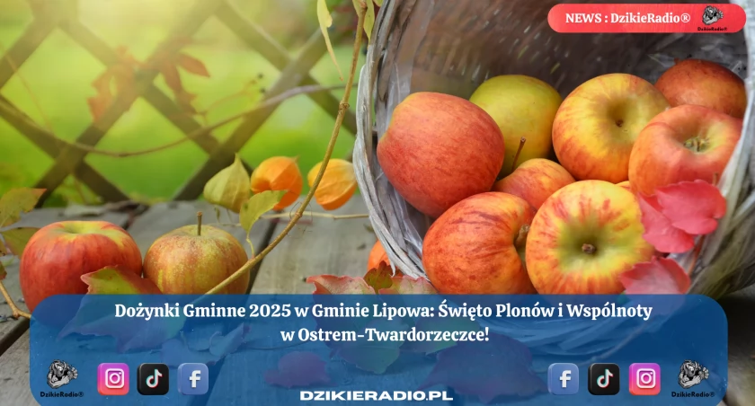 Dożynki Gminne 2025: Święto Plonów w Ostrem i Twardorzeczce  - Tradycja i Wspólnota w Gminie Lipowa.