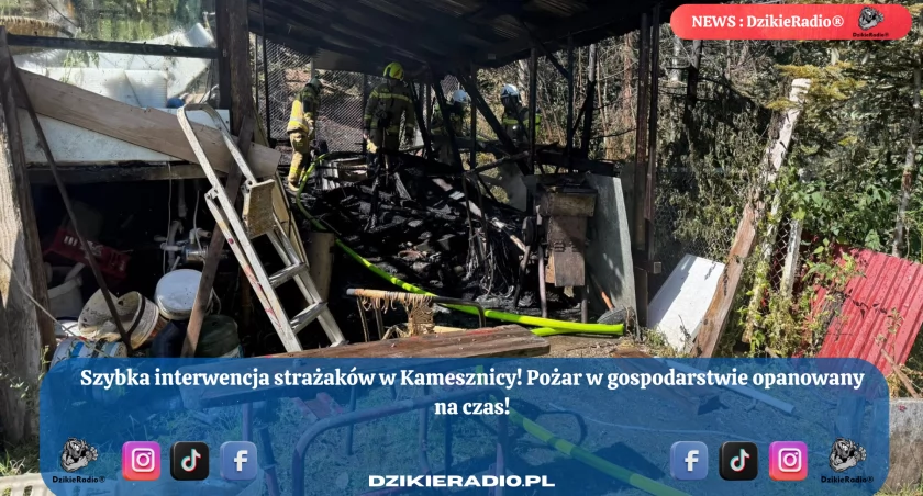 Pożar w Kamesznicy: szybka akcja strażaków uratowała dobytek