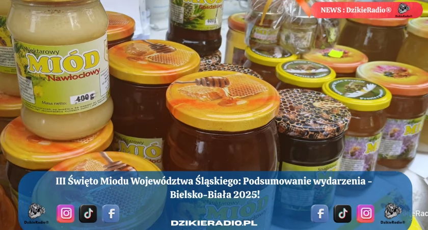 Święto Miodu w Bielsku-Białej 2025: Wspaniała Integracja Społeczności i Edukacja o Pszczołach.