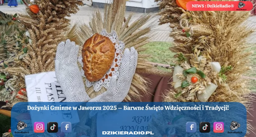 Dożynki Gminne w Jaworzu 2025: Tradycja, Wdzięczność i Łączenie Społeczności.