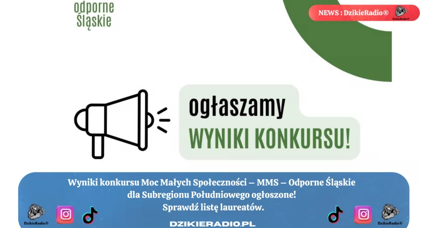 Wyniki konkursu Moc Małych Społeczności – MMS – Odporne Śląskie ogłoszone! Kto otrzymał dofinansowanie? Sprawdź listę rankingową!