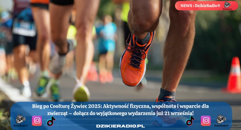 Bieg Po COOLTURĘ w Żywcu: 6. edycja 21 września 2025 r. - Bądź częścią tego wyjątkowego wydarzenia!