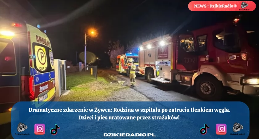 Cichy zabójca w Żywcu. Rodzina z dziećmi i psem trafia do szpitala po zatruciu tlenkiem węgla.