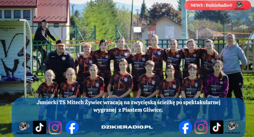 TS Mitech Żywiec wraca na zwycięską ścieżkę po imponującym zwycięstwie z Piastem Gliwice. 