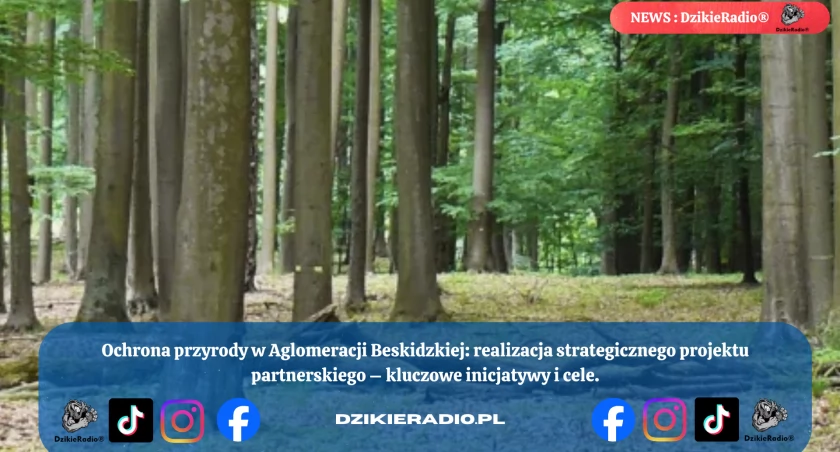 Nowy rozdział dla beskidzkiej przyrody: Powiat Żywiecki rusza z ambitnym projektem ekologicznym