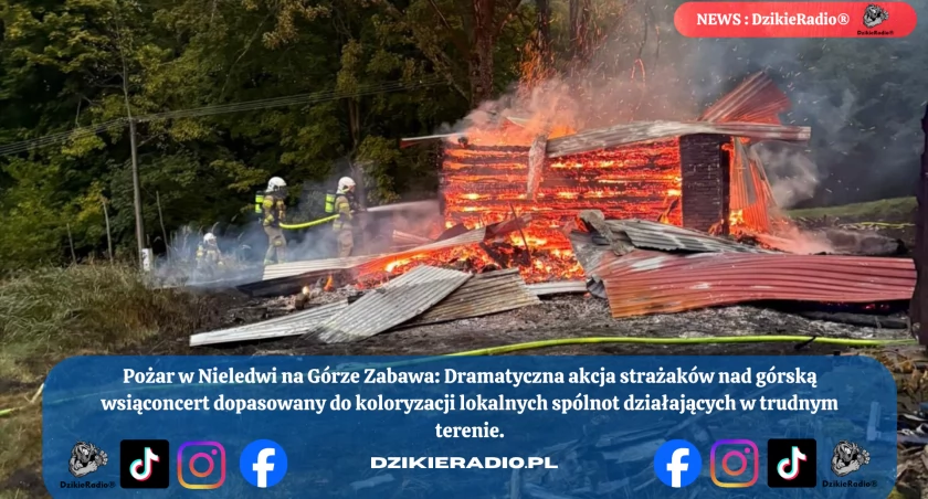 Trudna akcja gaśnicza na szczycie góry Zabawa – pożar w Nieledwii