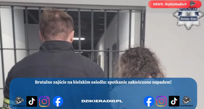 Wizyta, która przerodziła się w brutalny atak w Bielsku-Białej