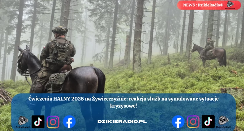 Służby w akcji – symulacja kryzysu na południowej granicy podczas ćwiczeń „HALNY 2025”