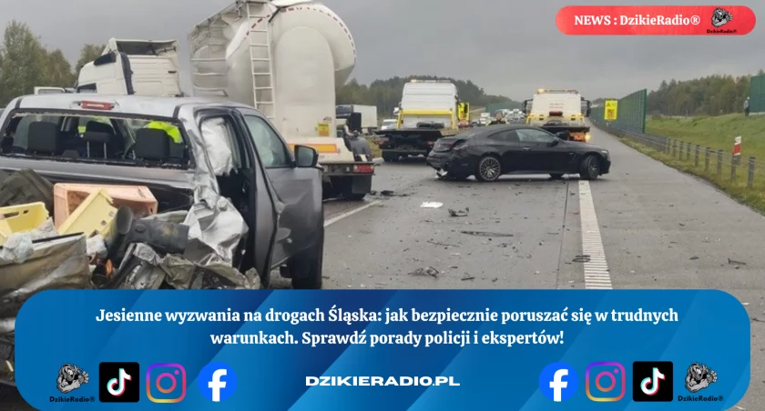 Ostrożność na jesieni na śląskich drogach - jak bezpiecznie podróżować w trudnych warunkach?