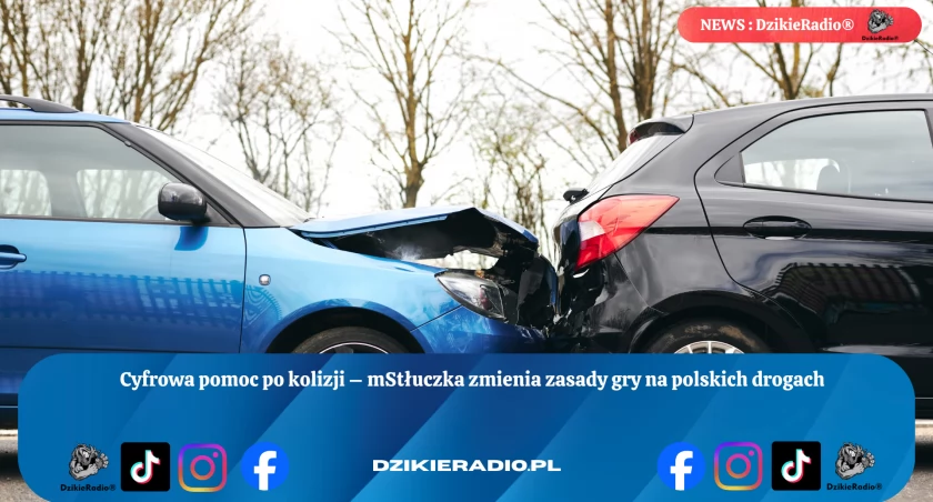 Nowy wymiar bezpieczeństwa na drodze: mStłuczka ułatwia życie kierowcom