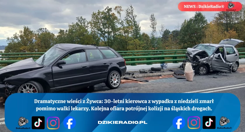 Tragiczny finał wypadku w Wilczym Jarze: nie żyje kierowca Audi