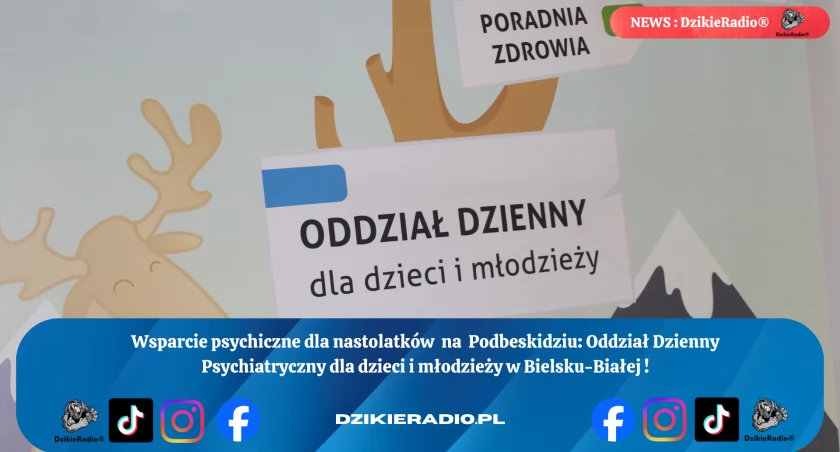 Systemowe wsparcie psychiczne dla młodzieży na Podbeskidziu: Oddział Dzienny Psychiatryczny dla dzieci i młodzieży w Bielsku-Białej
