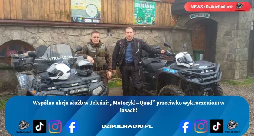Wspólne działania Policji i Straży Leśnej w Beskidzie Żywieckim: Kontrola pojazdów terenowych w lasach Nadleśnictwa Jeleśnia